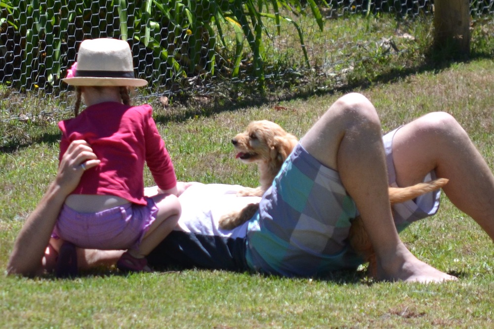 Banksia Park Puppies