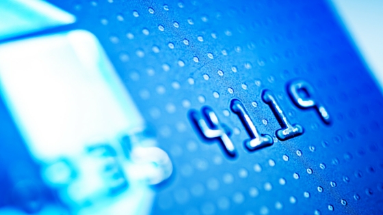 Banksia Park Puppies Dont be scammed (1)