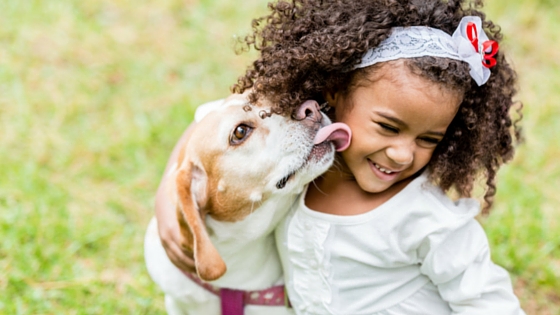 Why does your dog lick you-