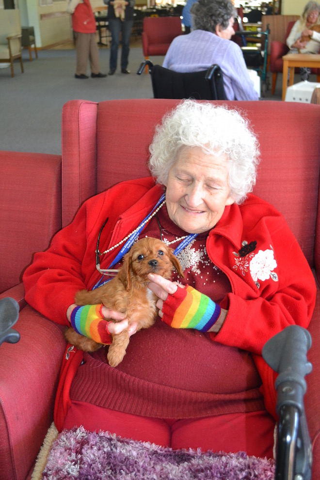 Banksia Park Puppies Ashleigh house